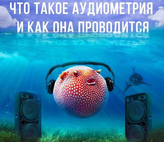 Что такое аудиометрия и как она проводится?