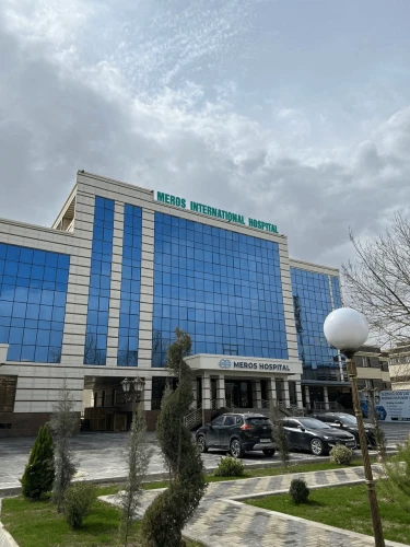 Фото слайдера: Meros International Hospital