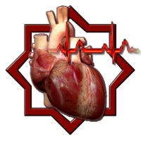 Лого клиники - Central Cardio Service