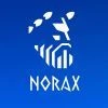 Лого клиники - NORAX