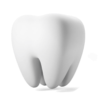 Stomatolog