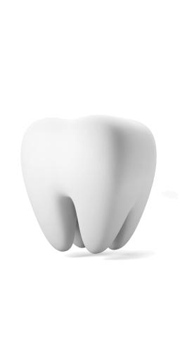 Stomatolog