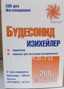 БУДЕСОНИД порошок