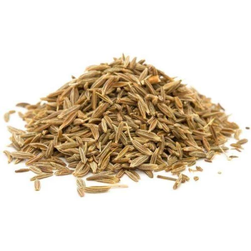 ФЕНХЕЛЯ ПЛОДЫ сырье