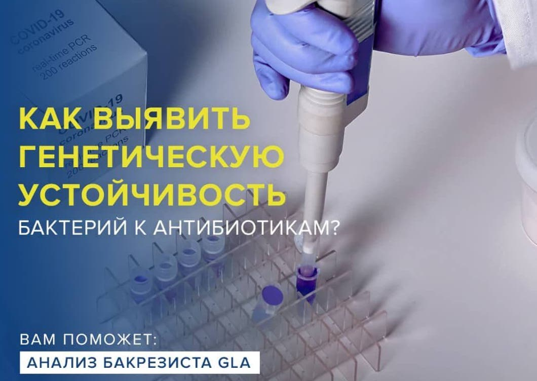 Проверенный антибиотик не помогает, а болезнь прогрессирует?