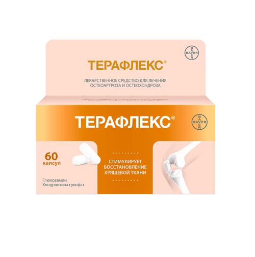 ТЕРАФЛЕКС капсулы N60